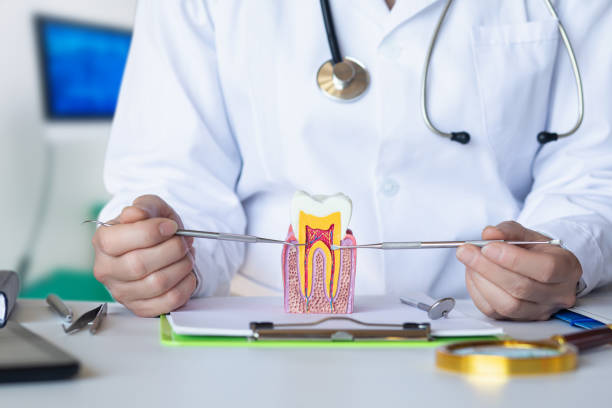 Best Knocked-Out Tooth Emergency  in Cochranton, PA